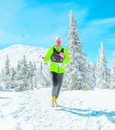 1_скайранинг_смик