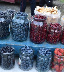 Рейды вдоль трассы