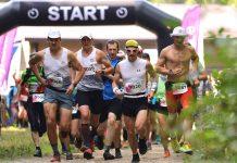 КЗФ – территория сильных