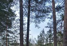 На элитной земле будет – угадайте с трех раз что? – ну, конечно, база отдыха!