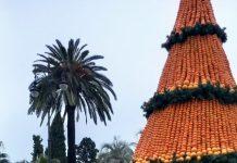 Парадоксы мандариновой Абхазии