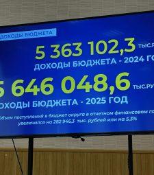 Д. А. Нисковских: отчет главы за 2025 год