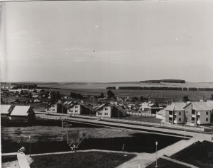 Патруши 